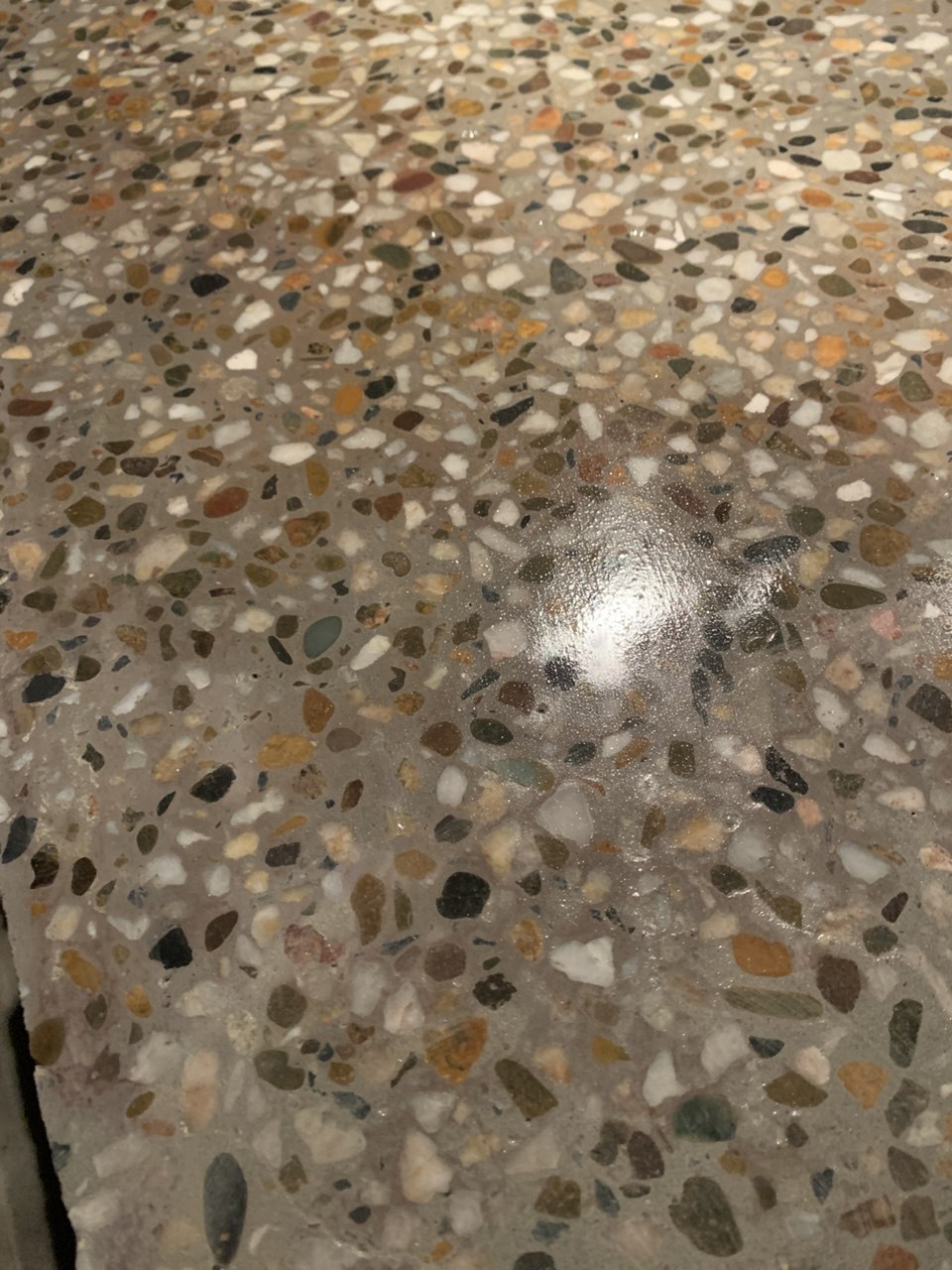 Full Exposure Grind and Seal Polished Concrete — Gold Coast SEQ